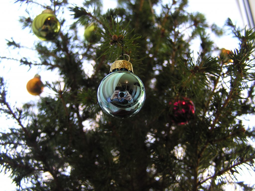 Small Christmas tree and an even smaller man