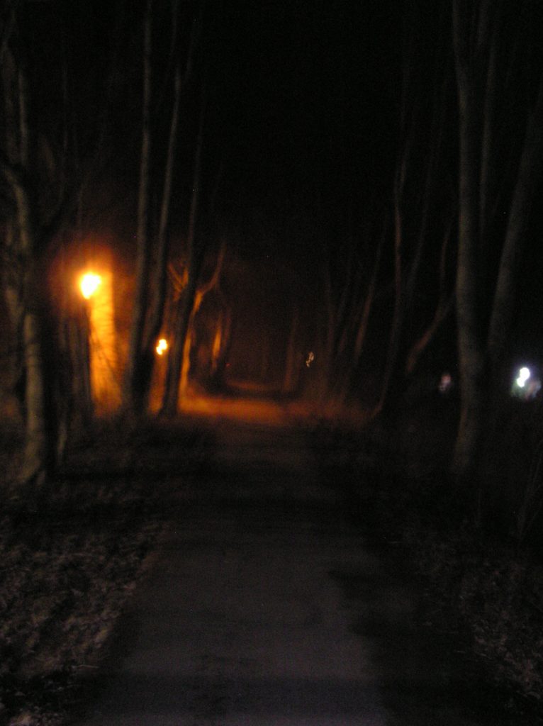 really creepy path in fog and darkness