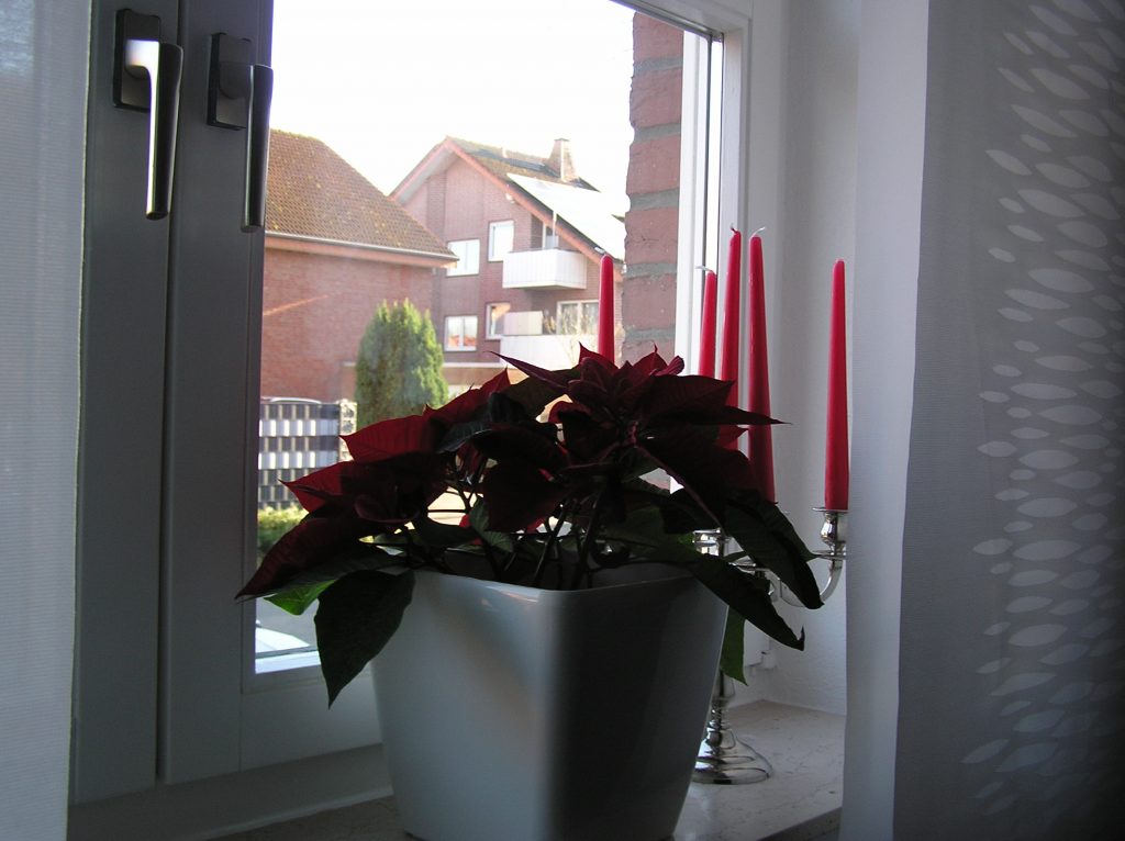 Flowers and candles