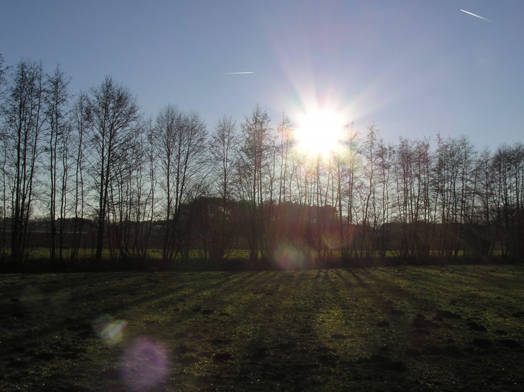 plain and sun