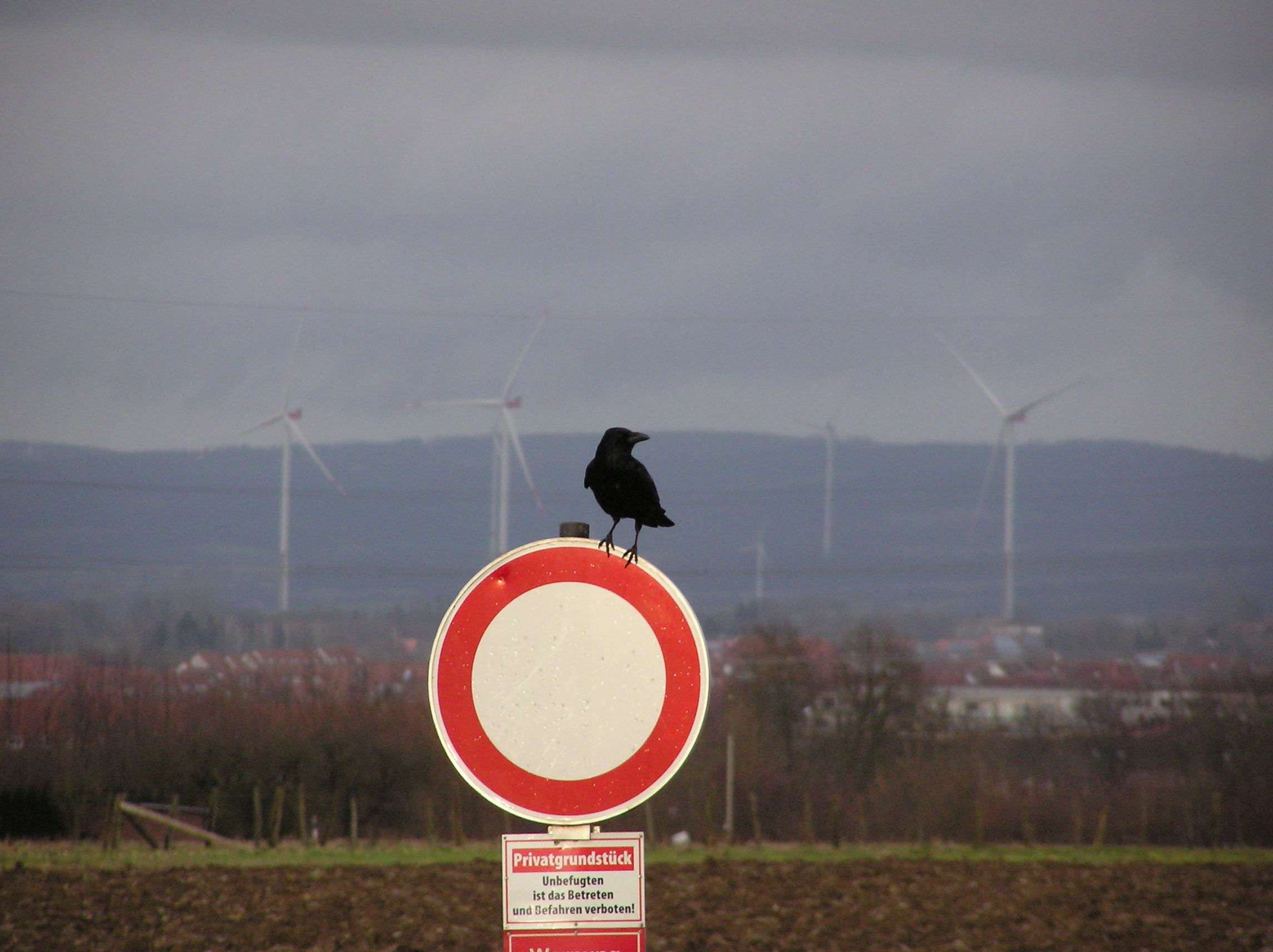 Lone Bike Ride Through the Countryside and some Photography