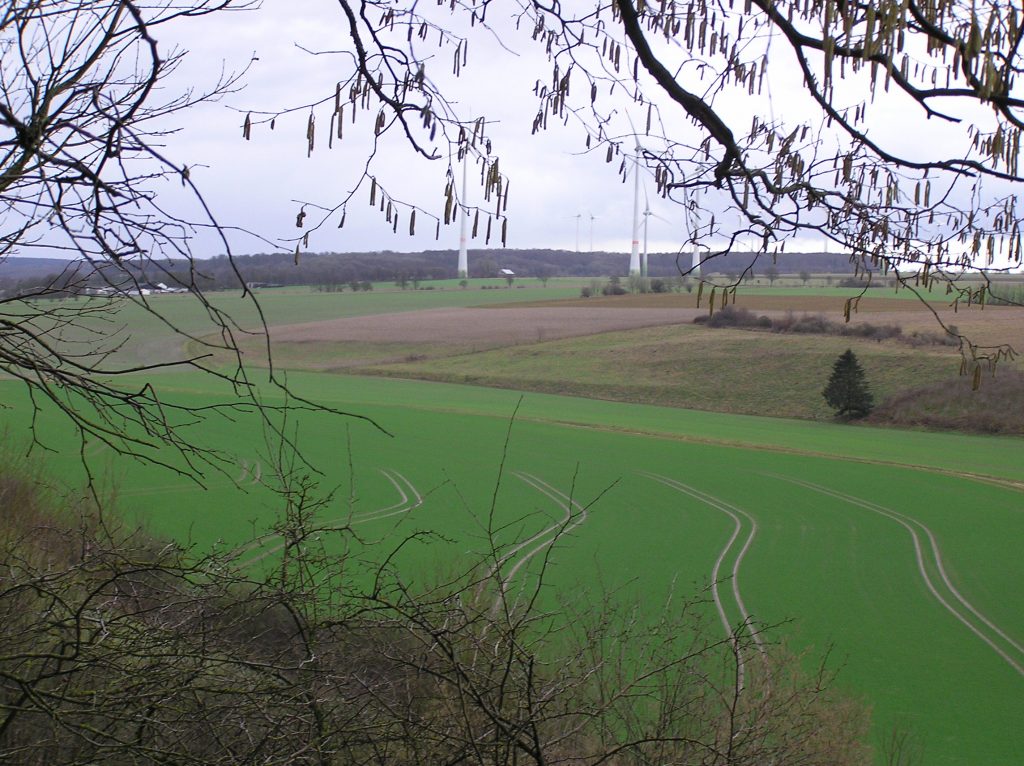 a green field with wind turbines in the background - typical image of rural germany